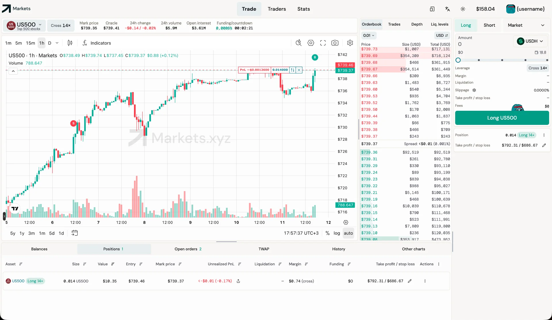 Trading view: chart, order book and order entry on one screen.